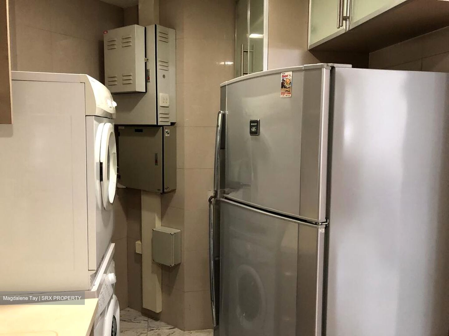 Water Place (D15), Condominium #563954711